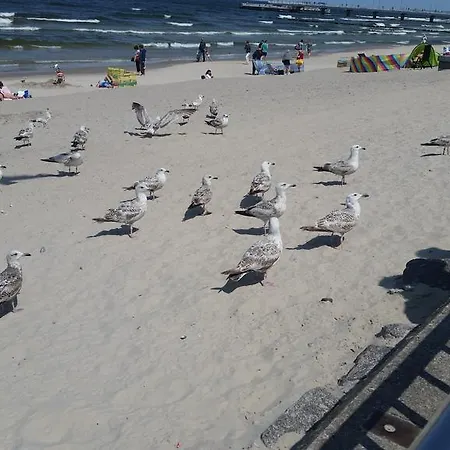 Apartament Dworcowa Kołobrzeg